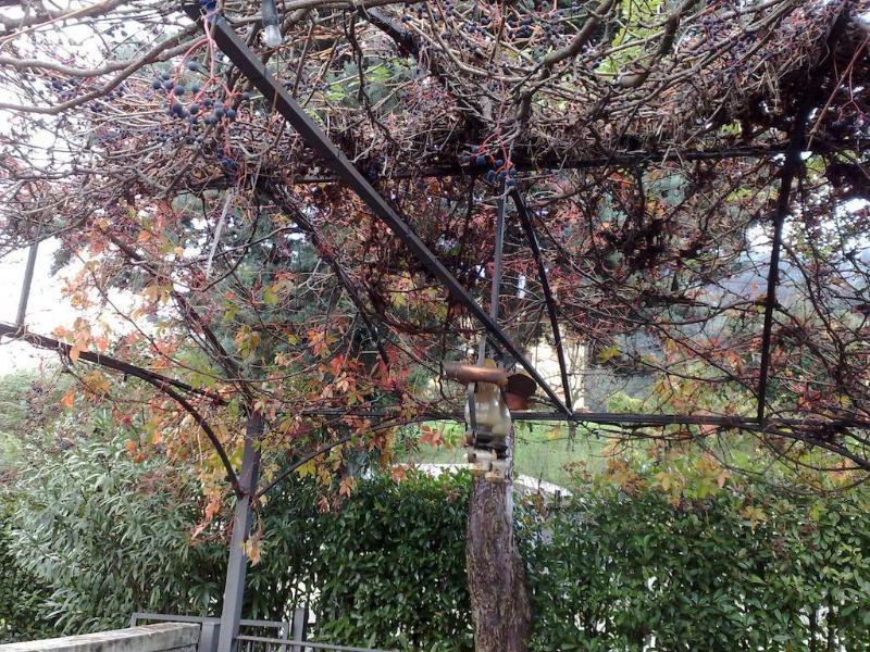 Villa Soleil Colleretto Giacosa Bagian luar foto